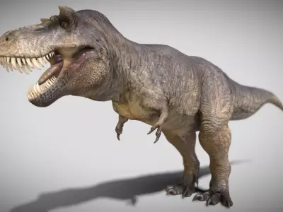 Tyrannosaurus rex Scotty Elder Low-poly 3D model