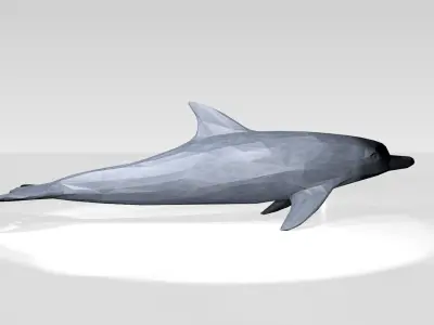 Dolphin Low Poligonal 3D model