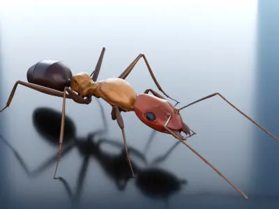 Ant 3D Rig Low-poly 3D model