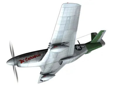 North American P-51D Mustang - The Enchantress 3D model