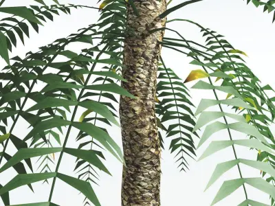 EVERYPlant Date Palm LowPoly 3 --16 Models-- Low-poly 3D model