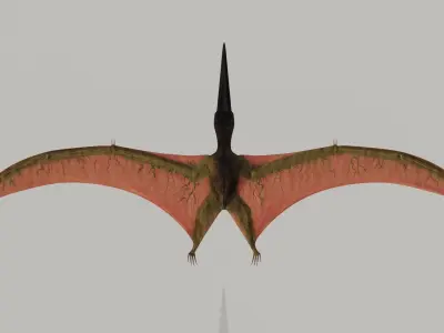 Pterodactyl dinosaur flying in air Low-poly 3D model