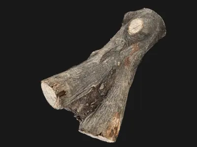 A piece of sawn wood 3d scan in highpoly 3D model