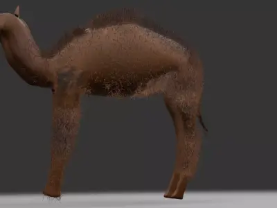 3dcamel not animated 3D model
