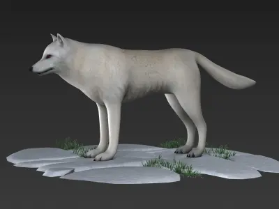 arctic wolf Labrador american mammal wolf 3D model