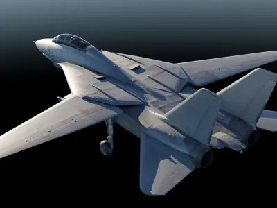F-14 Tomcat Fighter Jet 3D model