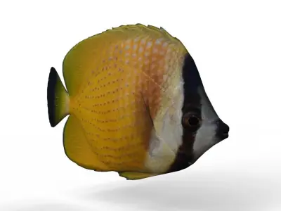 Butterfly fish Low-poly 3D model