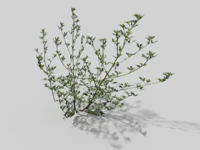 grass pack Low-poly 3D model