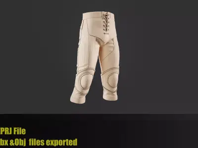 12Medieval warrior pants 3D model