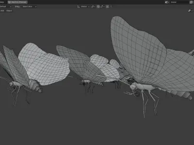 Butterfly Collection PBR Rigged Animated 3D model