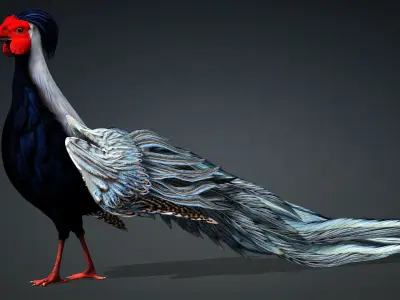 White Pheasant-A2 3D model