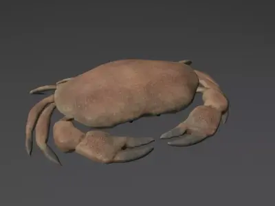 Crab Low Poly Realistic Low-poly 3D model