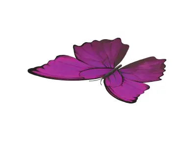 Butterfly v1 003 Low-poly 3D model