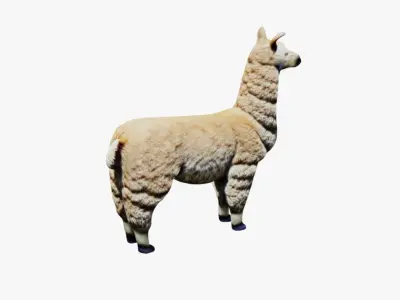 Llama Free 3D model purchase
