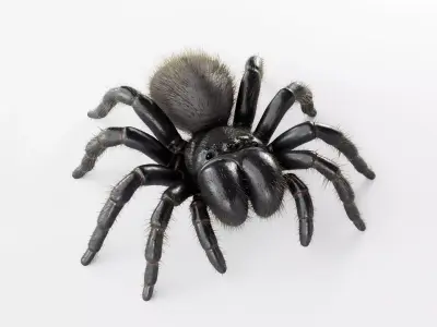 Mouse Spider Low-poly 3D model
