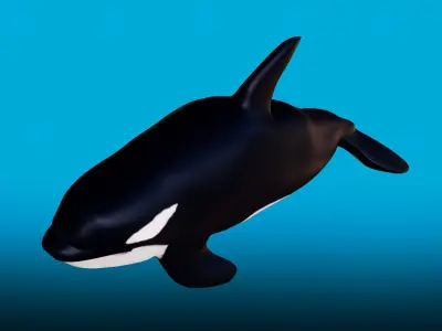 Killer whale Rigged Low-poly 3D model