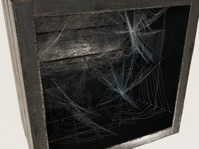 Spiderweb for shelves 3D model