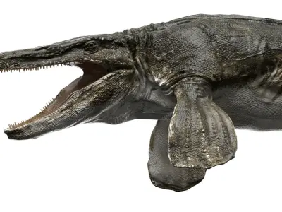 Tylosaurus 3D model Rigged Low-poly 3D model