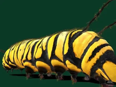 Caterpillar idle 3D model