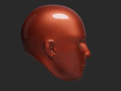 Humans Head 3D print model