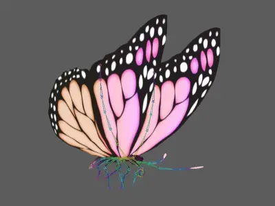 Flying Butterfly  Rigged Model 3D model
