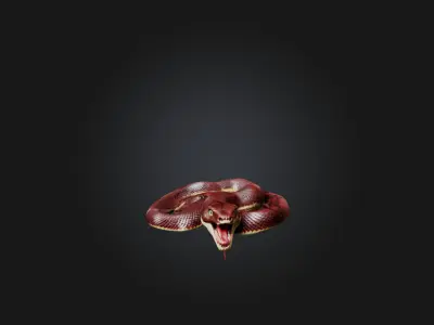 Realistic Wounded Snake Model Low-poly 3D model