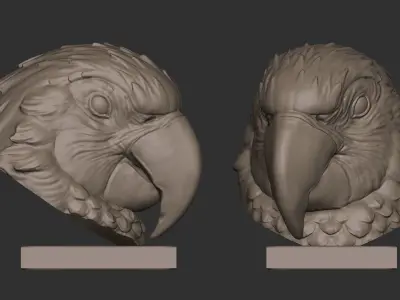 Parrots Free 3D print model