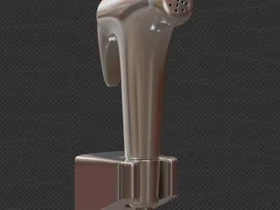 Shower Spray 3D model