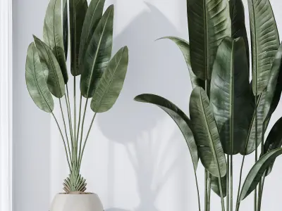 HQ Plants Bird Of ParadiseBird Vase Set06 3D model