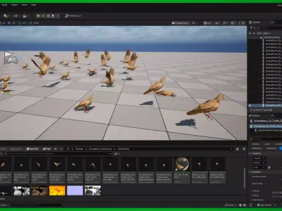 European Turtle Dove Bird Low-poly 3D model