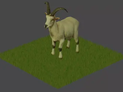 Modelo 3D Cabra para Blender 3D model