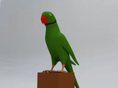 Green Parrot Low-poly 3D model