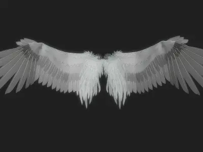 Fantasy Wing Rigged 3D model