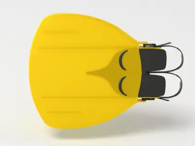 Flipper Fins 3D model