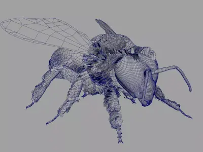 Bee Rig 3D model