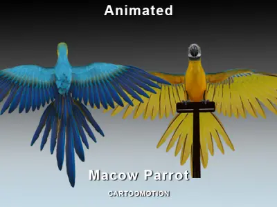 Blue Macaw Parrot Low-poly 3D model