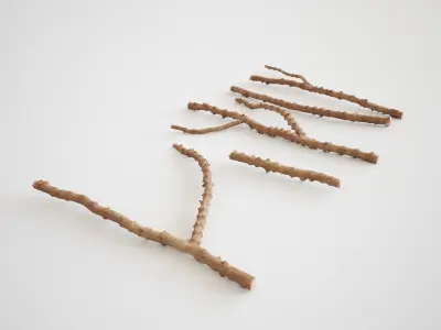 Small Branches 3D model