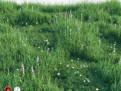 Grass set 3D model