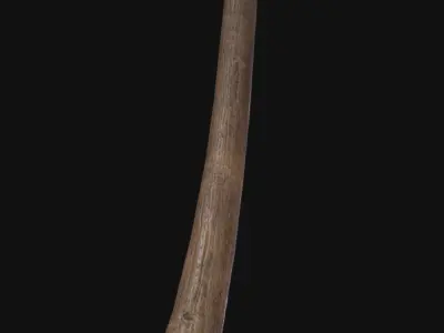 Bearded Axe Low-poly 3D model