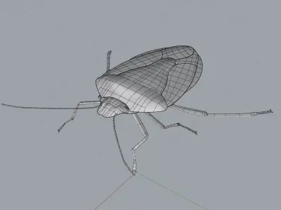 Brown Marmorated Stink Bug Free 3D model