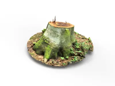 Forest Tree Stump 4K -Part 2- Free low-poly 3D model