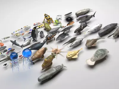 Sea Creatures Collection 3D model