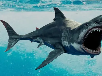 White Shark  Animated  Low-poly 3D model