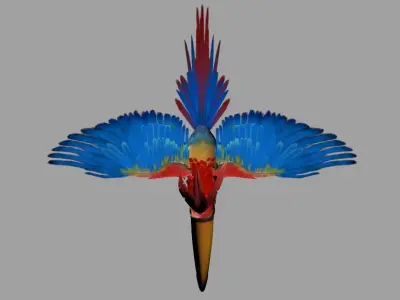 Toucan 3D model