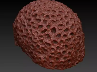 Sea Coral Scan 4 3D model