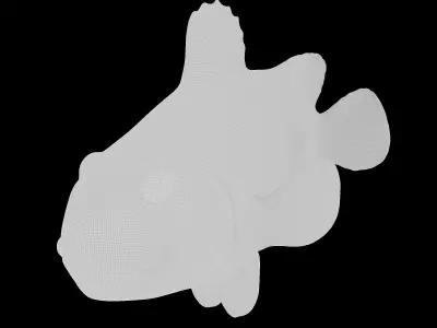 Cute Realistic Animation-Ready Clownfish 3D model