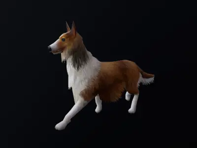 low-poly animated dog Rough Collie  Low-poly 3D model