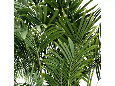 Collection plant vol 307 blender model Free 3D model