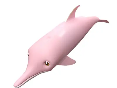 Amazon Pink Dolphin fish Animated  Low-poly 3D model