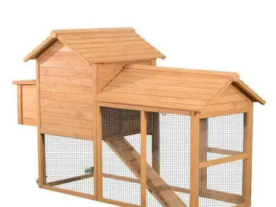 Belinda Chicken Coop - Chicken Run 3D model